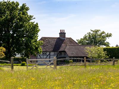 Picture 27